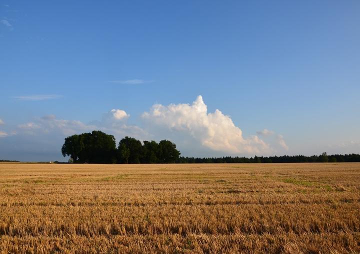 Zum Oertzewinkel